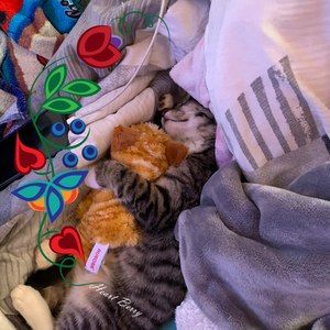 Meet your Posher, Sabrina